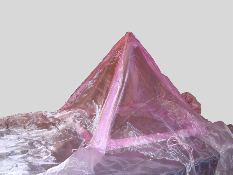 Pyramide Trance Wildwuchs | Gerda Sengstbratl